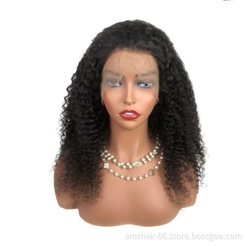 Factory Hot Sale 13x4 inch Lace Front Wig Natural color 100% Human Hair Kinky Curly Wig Pre Plucked Baby Hair for black women